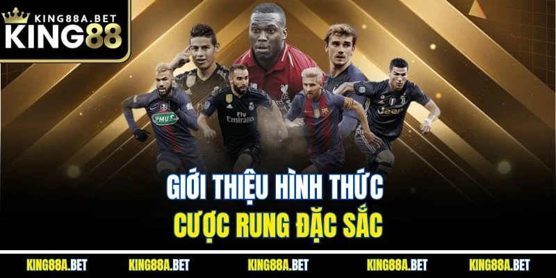 Giới thiệu hình thức cược rung đặc sắc