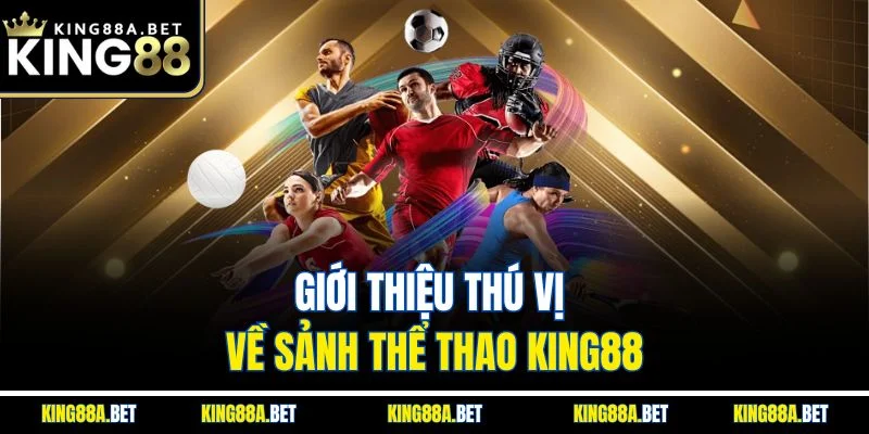 Giới thiệu thú vị về sảnh thể thao King88