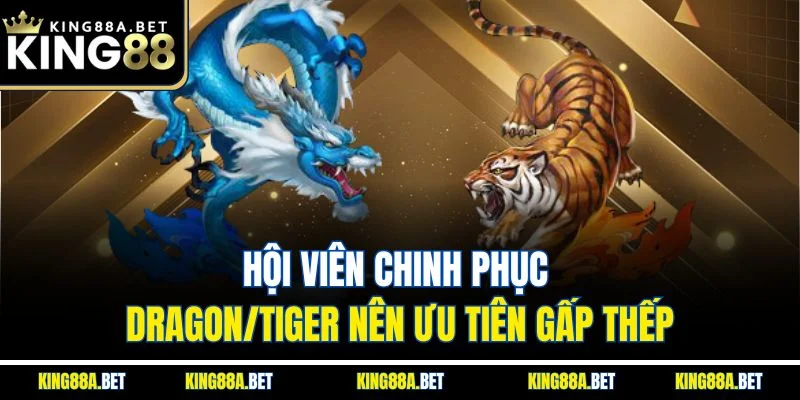 Hội viên chinh phục Dragon/Tiger nên ưu tiên gấp thếp