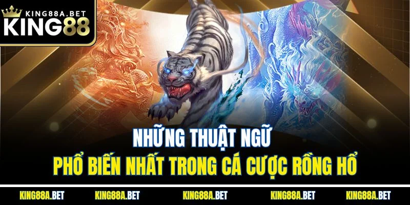 Những thuật ngữ phổ biến nhất trong cá cược Rồng Hổ